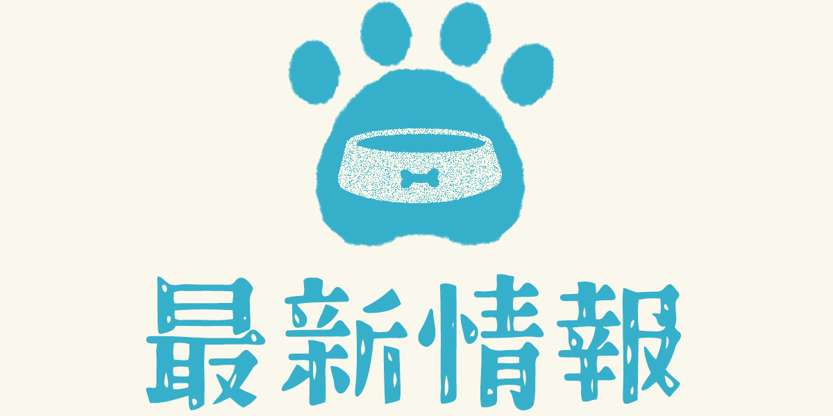 最新情報