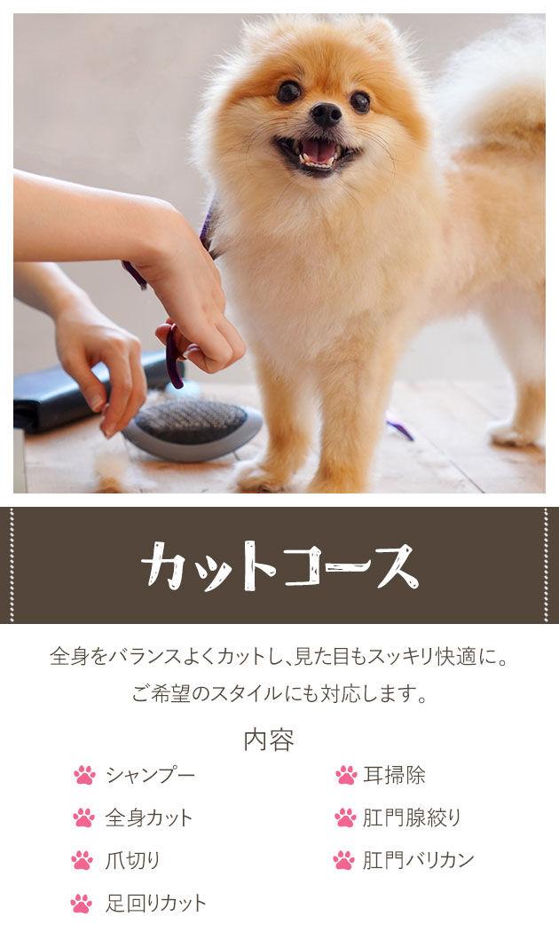 全身をバランスよくカットし、見た目もスッキリ快適に。ご希望のスタイルにも対応します。
内容:
・シャンプー
・全身カット
・爪切り
・足回りカット
・耳掃除
・肛門腺絞り
・肛門バリカン