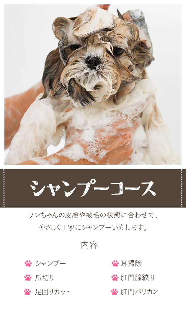 シャンプーコース
ワンちゃんの皮膚や被毛の状態に合わせて、やさしく丁寧にシャンプーいたします。
内容:
・シャンプー
・爪切り
・足回りカット
・耳掃除
・肛門腺絞り
・肛門バリカン